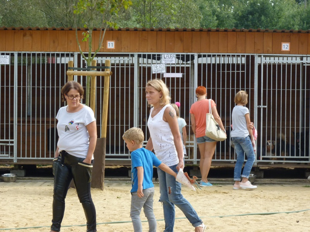 20. urodziny Przytuliska dla Zwierząt w Głownie