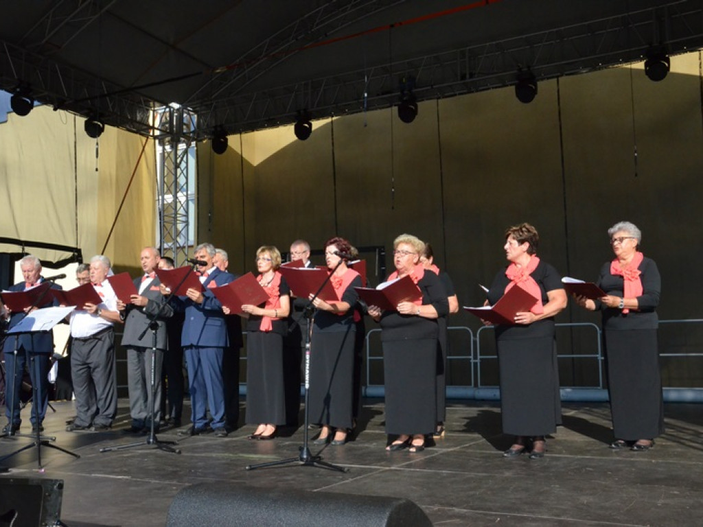 Mistrzowski koncert ZPiT Śląsk na dożynkach w Bednarach