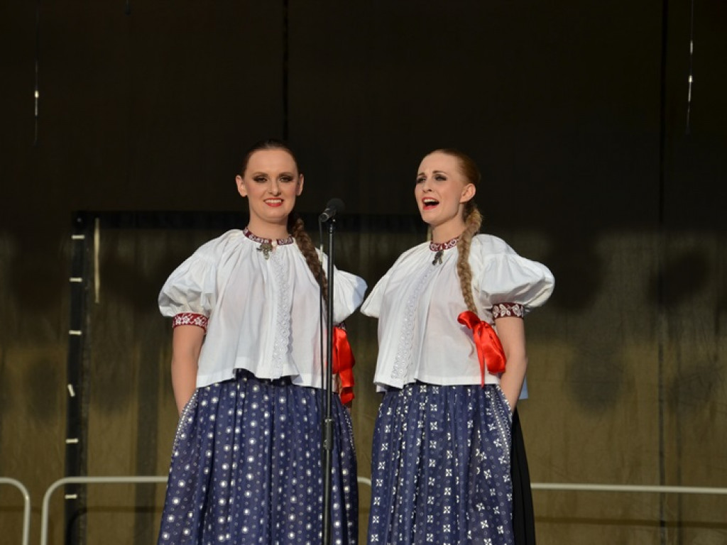 Mistrzowski koncert ZPiT Śląsk na dożynkach w Bednarach
