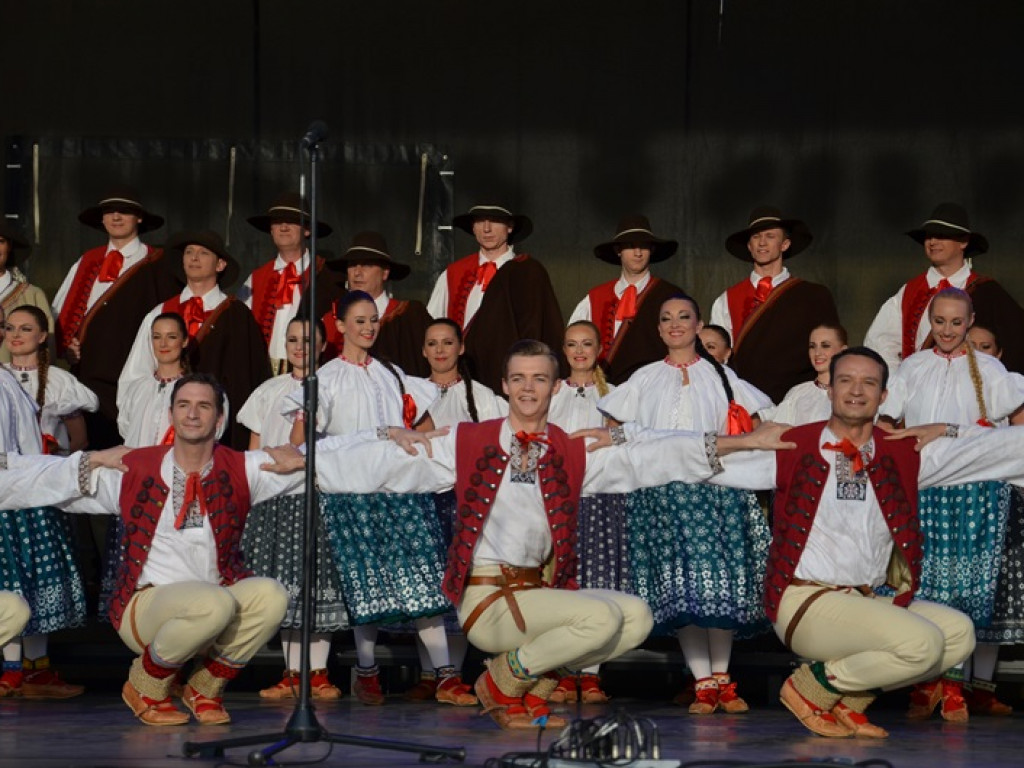 Mistrzowski koncert ZPiT Śląsk na dożynkach w Bednarach
