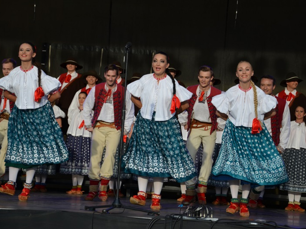 Mistrzowski koncert ZPiT Śląsk na dożynkach w Bednarach