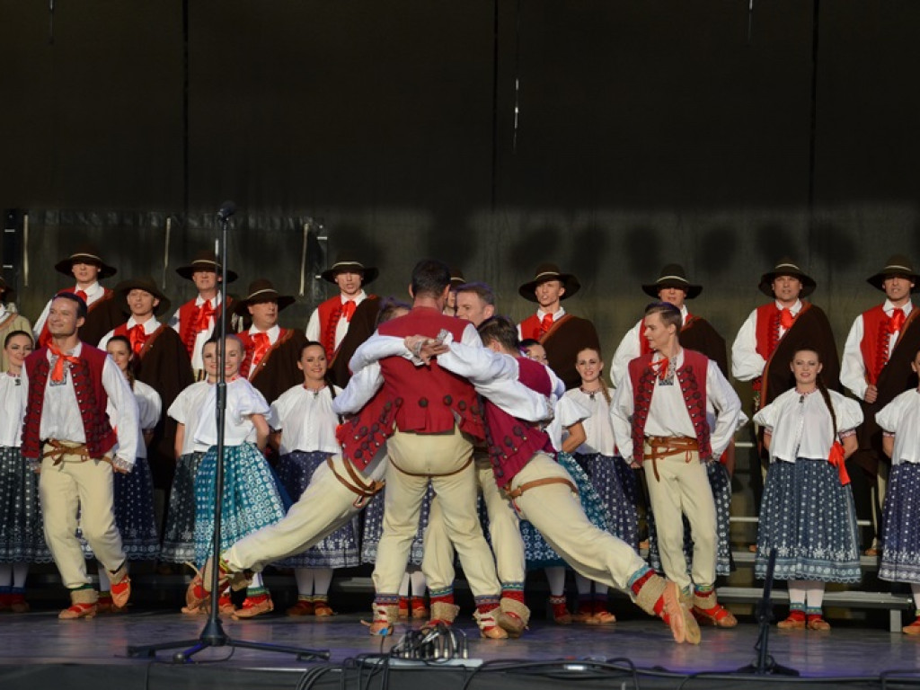 Mistrzowski koncert ZPiT Śląsk na dożynkach w Bednarach