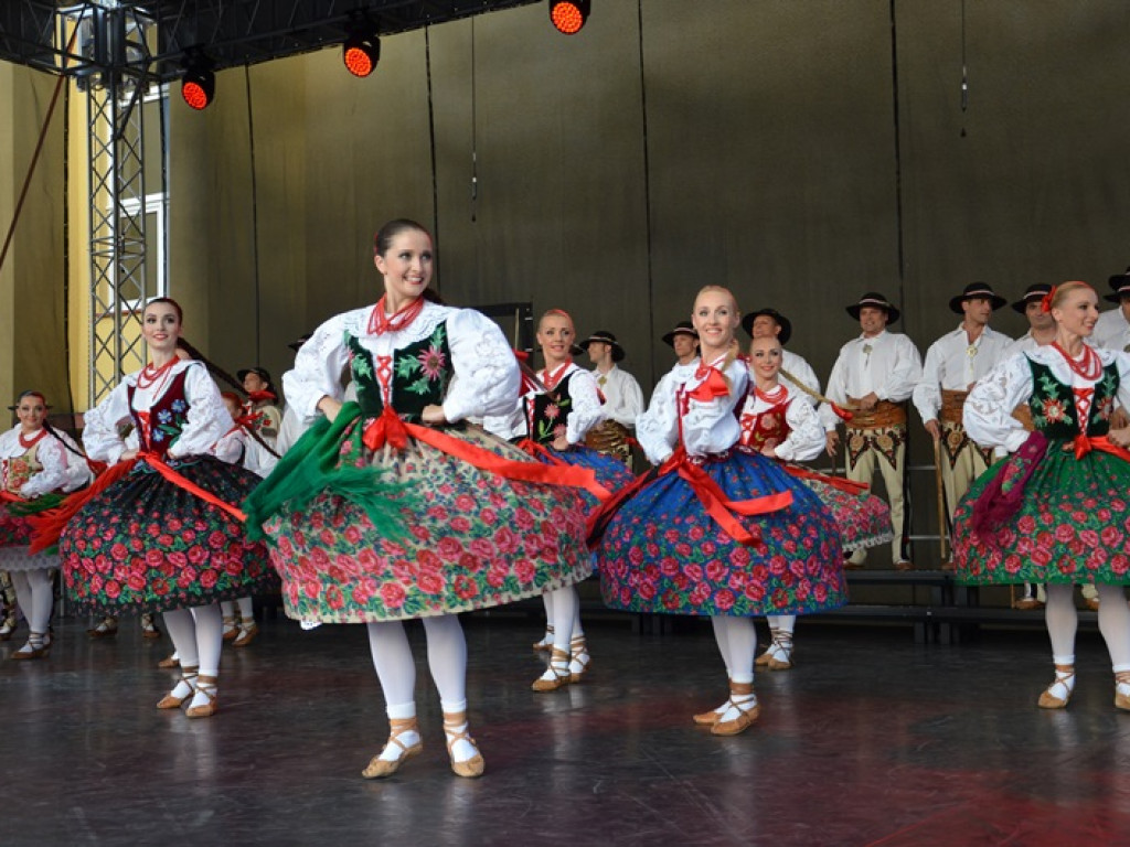 Mistrzowski koncert ZPiT Śląsk na dożynkach w Bednarach