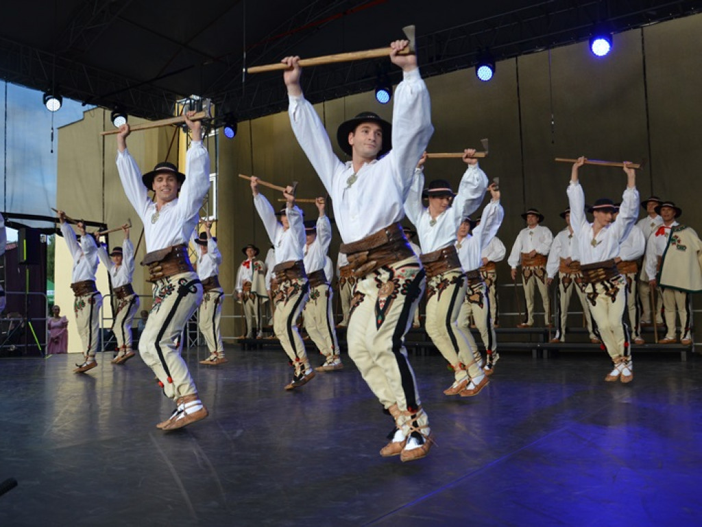 Mistrzowski koncert ZPiT Śląsk na dożynkach w Bednarach