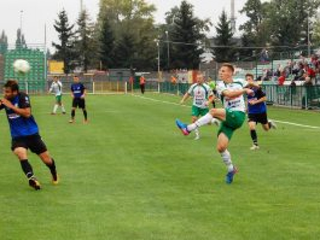 Pelikan nie uległ Sokołowi