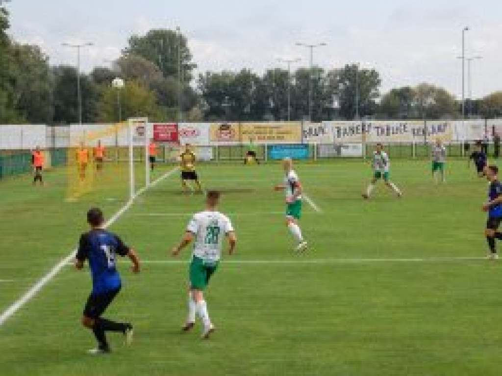 Pelikan nie uległ Sokołowi