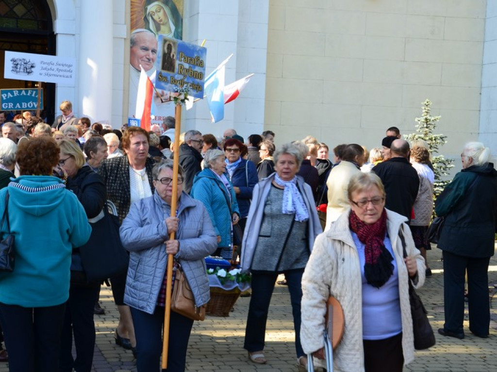 Pielgrzymka Kół Żywego Różańca w Domaniewicach