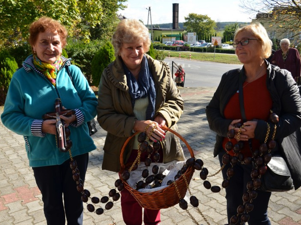 Pielgrzymka Kół Żywego Różańca w Domaniewicach