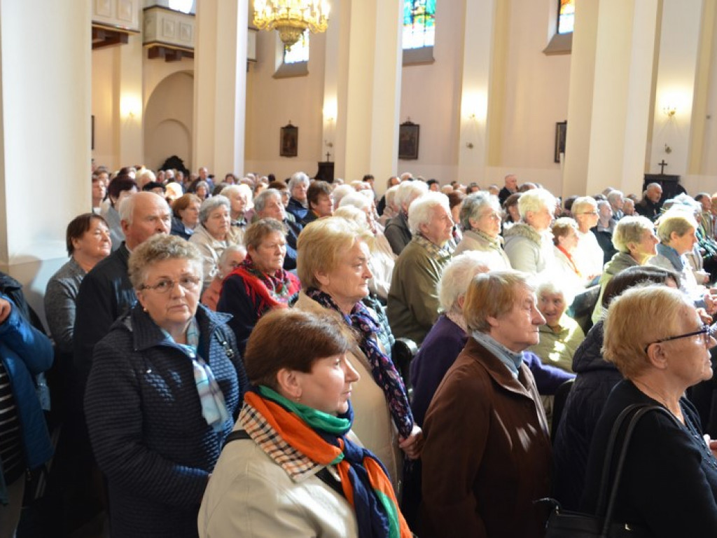 Pielgrzymka Kół Żywego Różańca w Domaniewicach