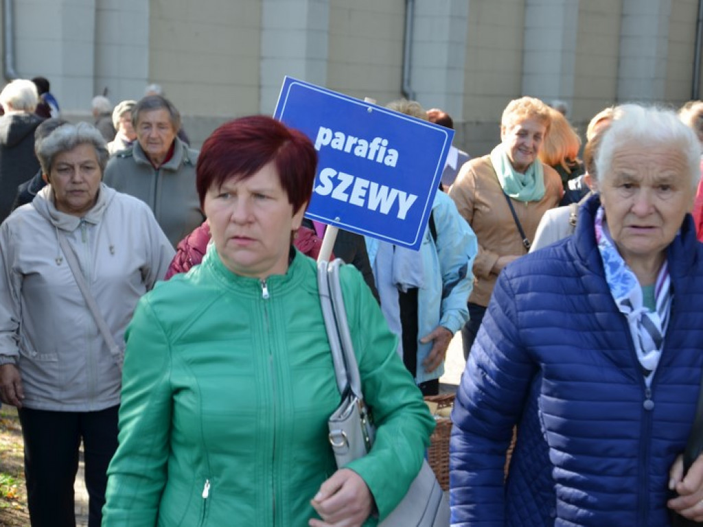 Pielgrzymka Kół Żywego Różańca w Domaniewicach