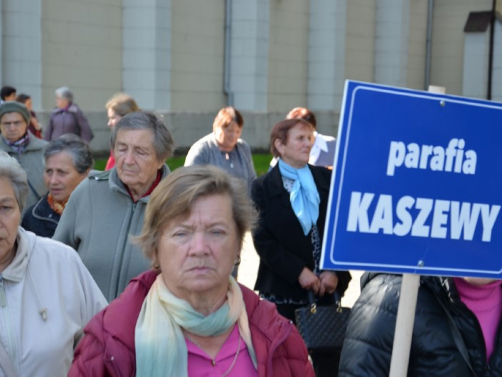 Pielgrzymka Kół Żywego Różańca w Domaniewicach