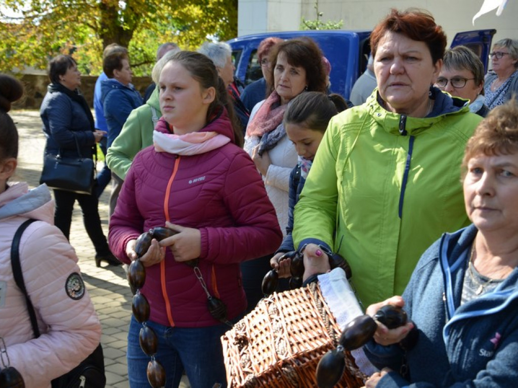 Pielgrzymka Kół Żywego Różańca w Domaniewicach