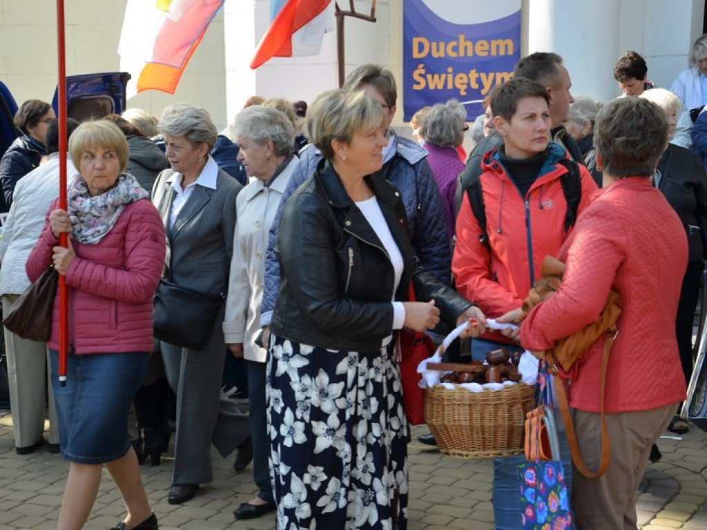 Pielgrzymka Kół Żywego Różańca w Domaniewicach