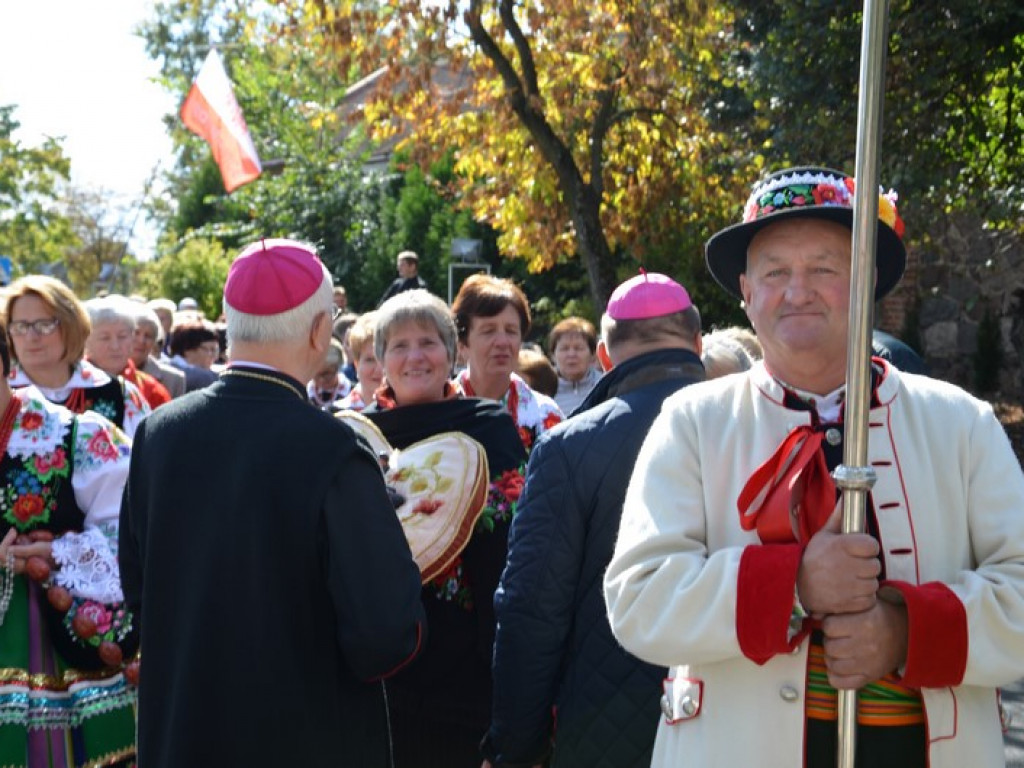 Pielgrzymka Kół Żywego Różańca w Domaniewicach