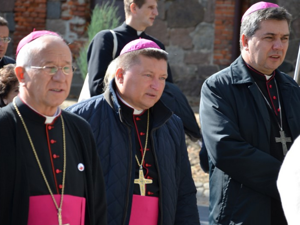 Pielgrzymka Kół Żywego Różańca w Domaniewicach
