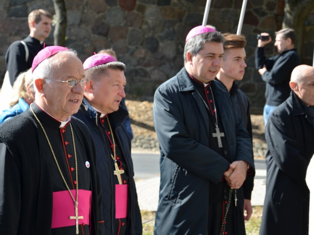 Pielgrzymka Kół Żywego Różańca w Domaniewicach