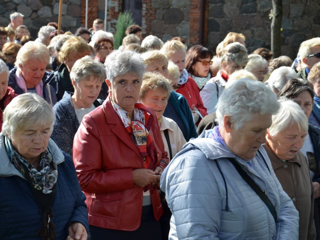 Pielgrzymka Kół Żywego Różańca w Domaniewicach