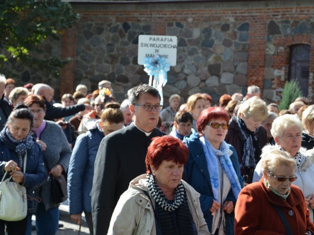 Pielgrzymka Kół Żywego Różańca w Domaniewicach