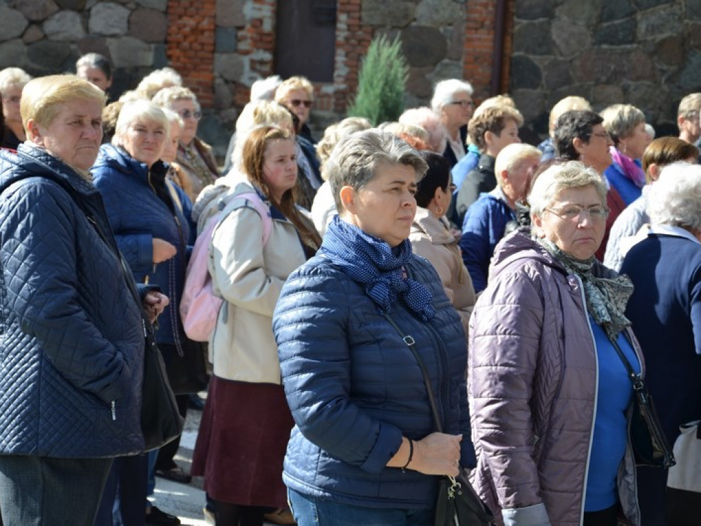 Pielgrzymka Kół Żywego Różańca w Domaniewicach
