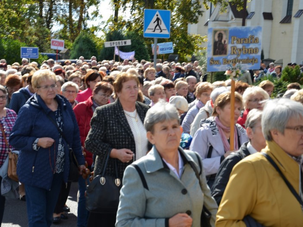 Pielgrzymka Kół Żywego Różańca w Domaniewicach