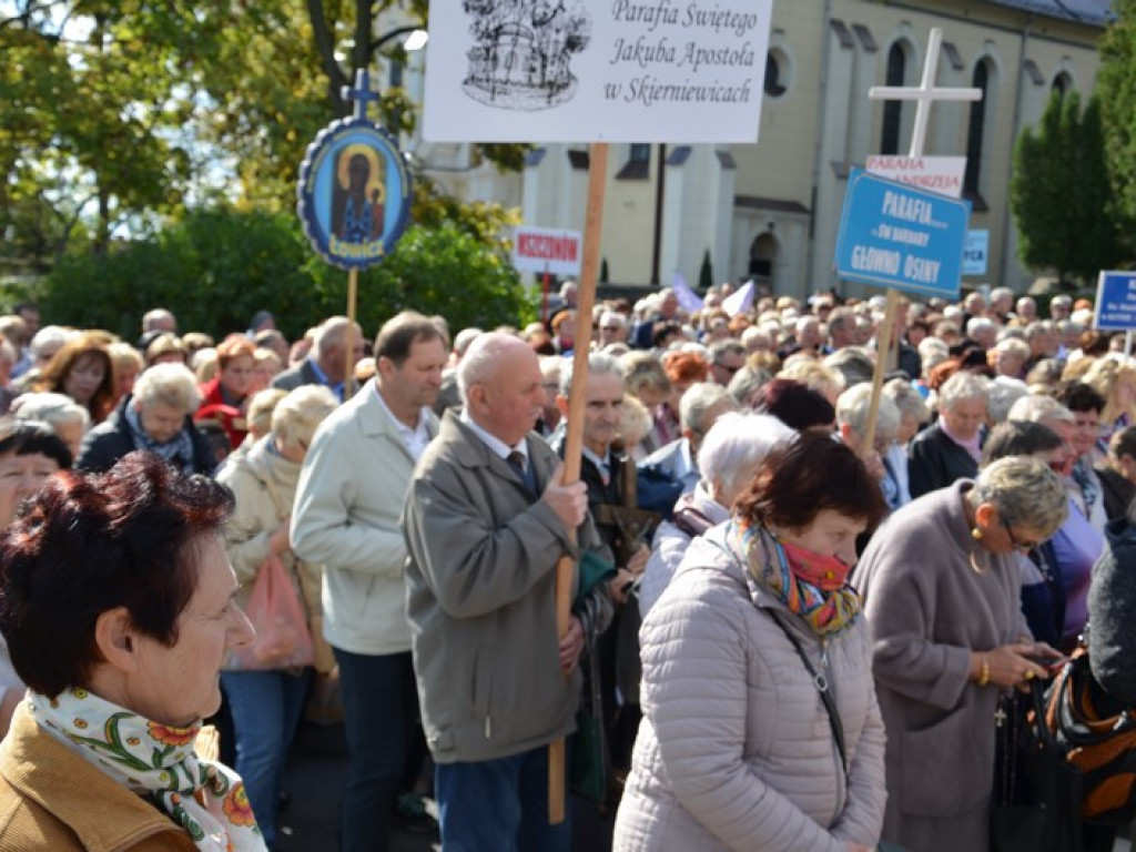 Pielgrzymka Kół Żywego Różańca w Domaniewicach