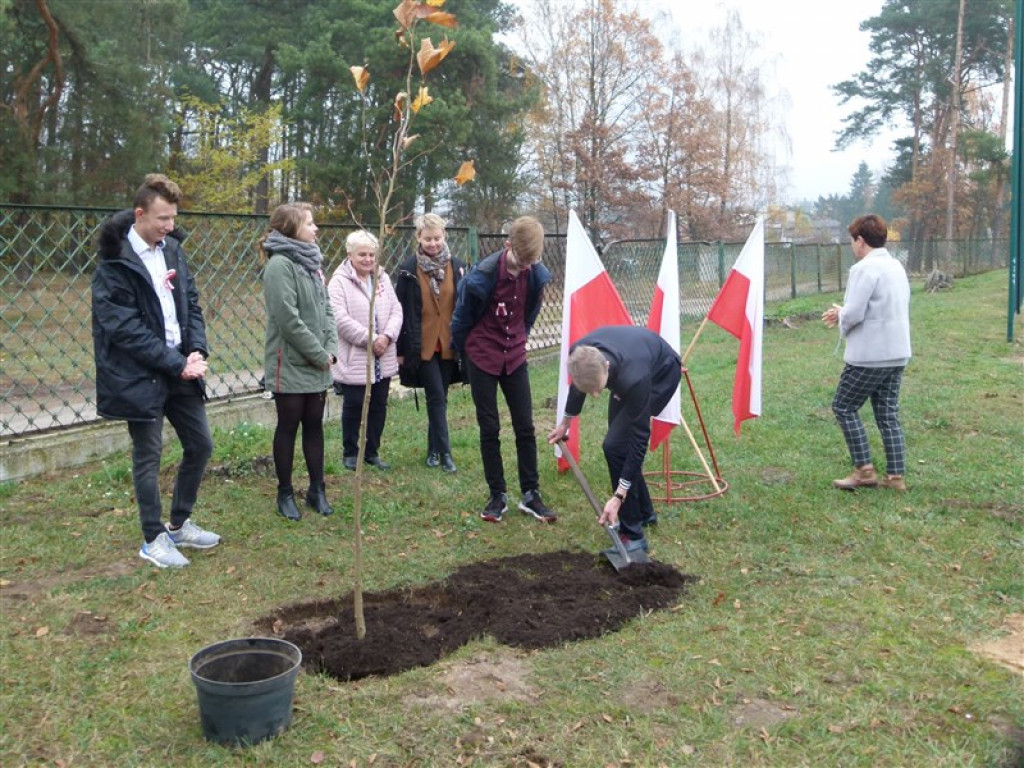 Drzewko wolności posadzone przy ZSLG w Głownie