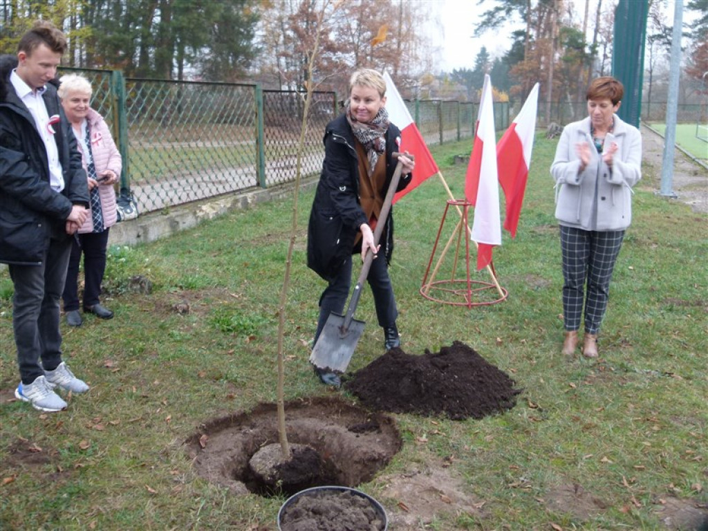 Drzewko wolności posadzone przy ZSLG w Głownie