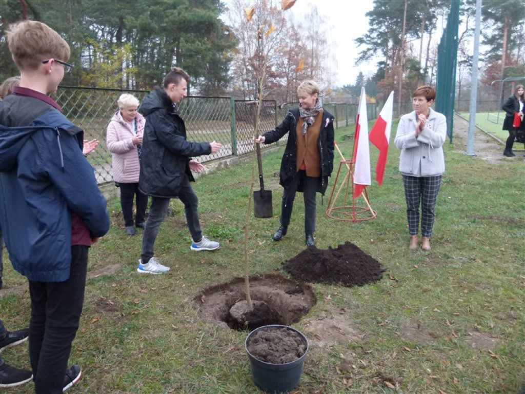 Drzewko wolności posadzone przy ZSLG w Głownie