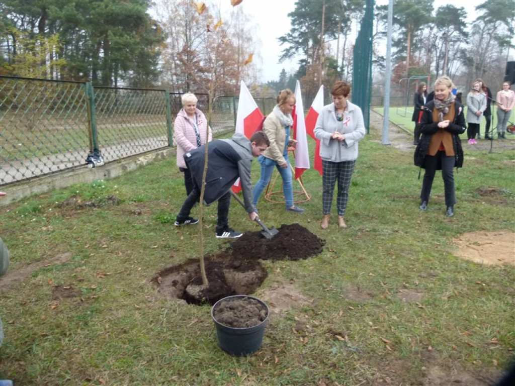 Drzewko wolności posadzone przy ZSLG w Głownie