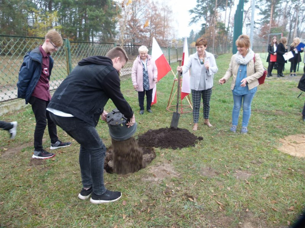 Drzewko wolności posadzone przy ZSLG w Głownie