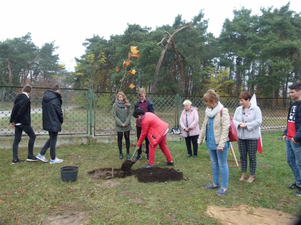 Drzewko wolności posadzone przy ZSLG w Głownie