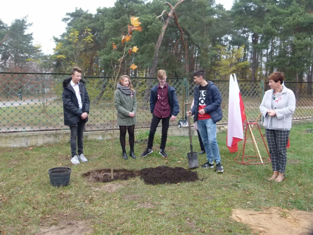 Drzewko wolności posadzone przy ZSLG w Głownie