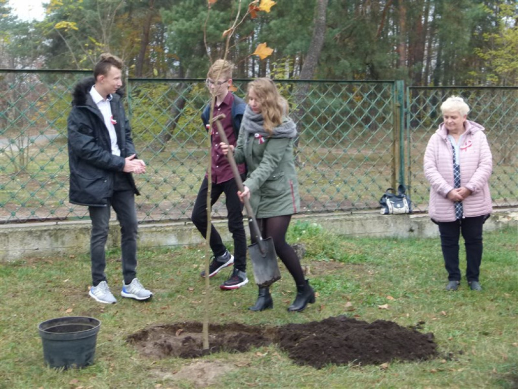 Drzewko wolności posadzone przy ZSLG w Głownie