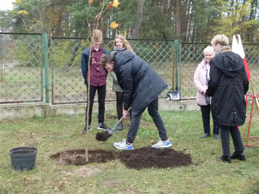 Drzewko wolności posadzone przy ZSLG w Głownie
