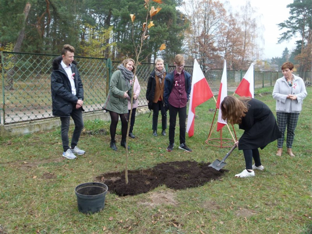 Drzewko wolności posadzone przy ZSLG w Głownie