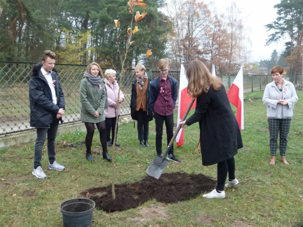 Drzewko wolności posadzone przy ZSLG w Głownie