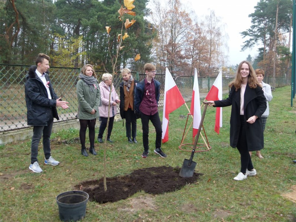 Drzewko wolności posadzone przy ZSLG w Głownie