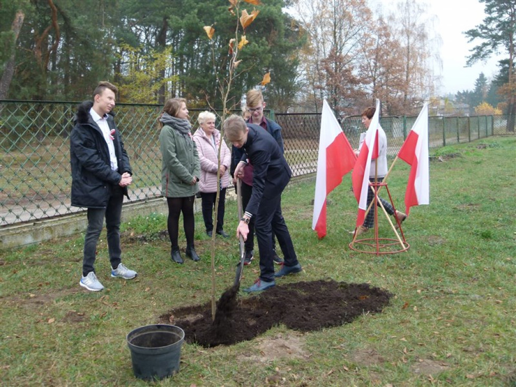 Drzewko wolności posadzone przy ZSLG w Głownie