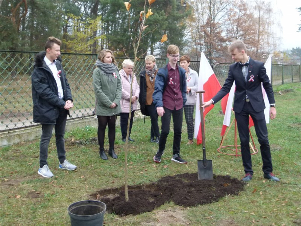Drzewko wolności posadzone przy ZSLG w Głownie