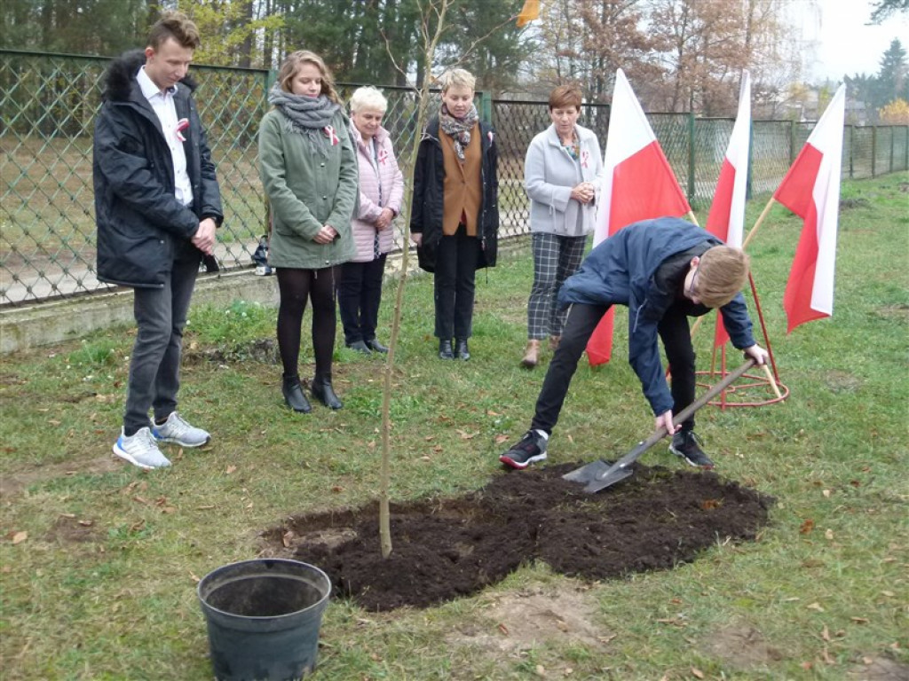 Drzewko wolności posadzone przy ZSLG w Głownie