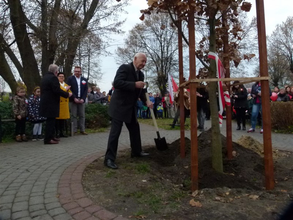 Dąb Niepodległości został posadzony w Głownie