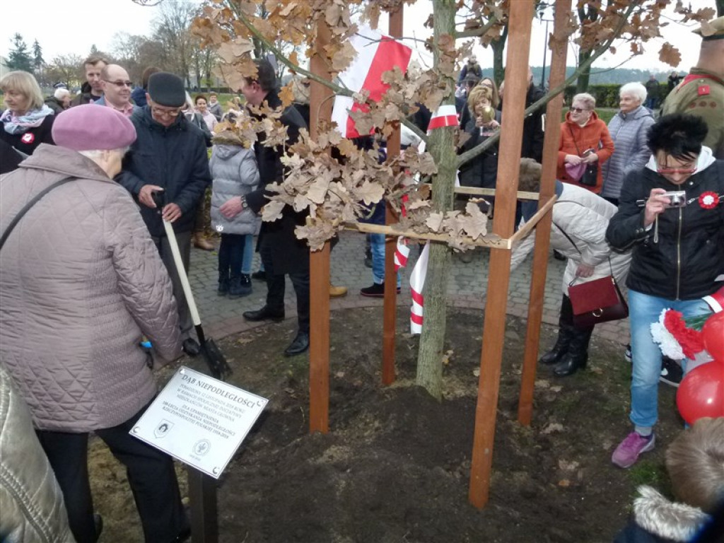 Dąb Niepodległości został posadzony w Głownie