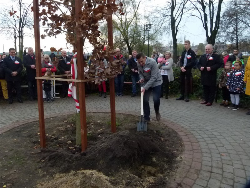 Dąb Niepodległości został posadzony w Głownie