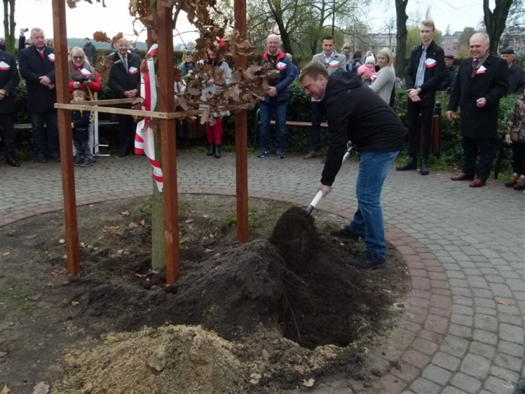 Dąb Niepodległości został posadzony w Głownie