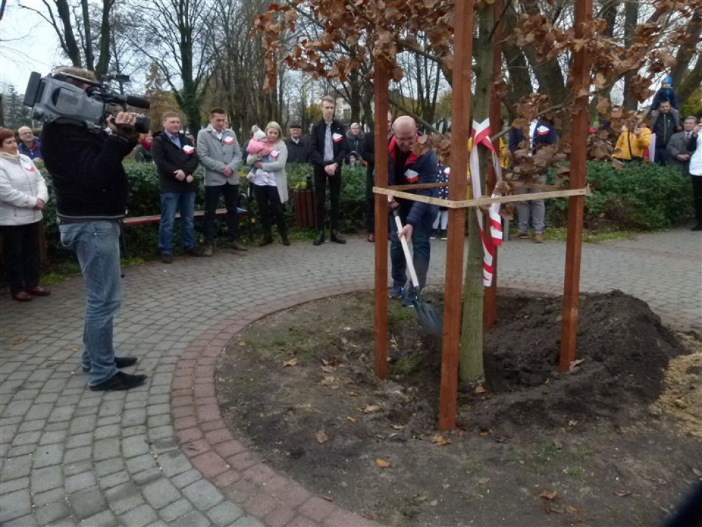 Dąb Niepodległości został posadzony w Głownie