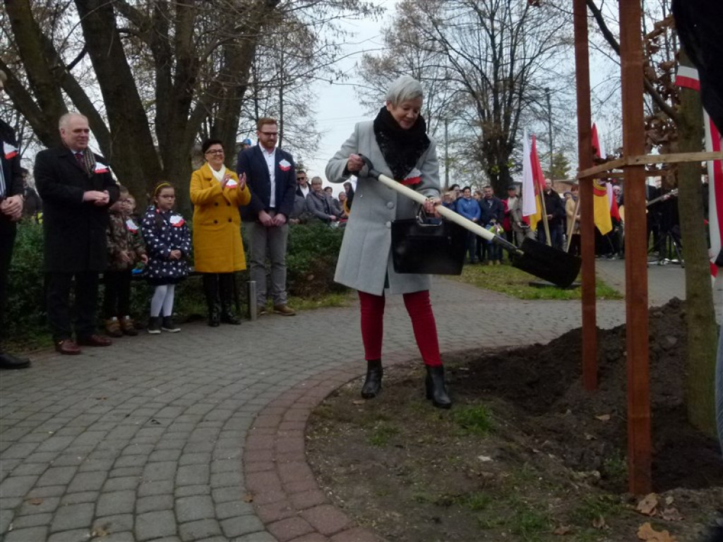 Dąb Niepodległości został posadzony w Głownie