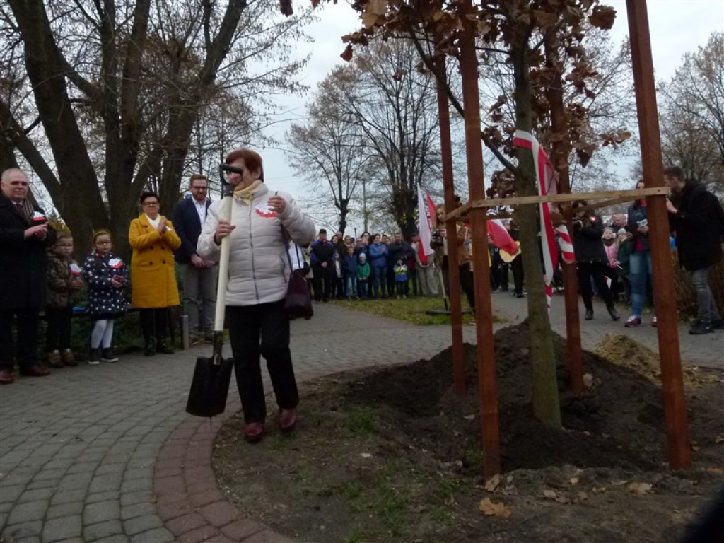 Dąb Niepodległości został posadzony w Głownie