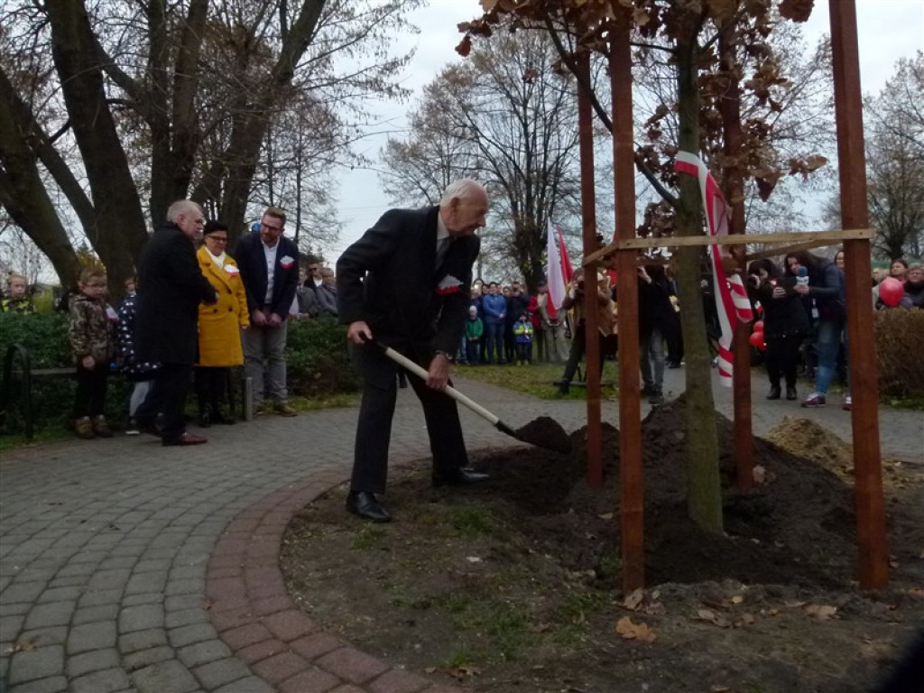 Dąb Niepodległości został posadzony w Głownie