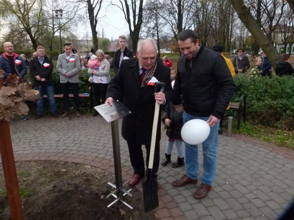 Dąb Niepodległości został posadzony w Głownie