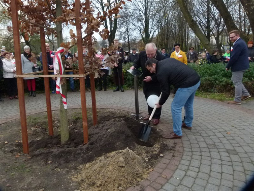 Dąb Niepodległości został posadzony w Głownie